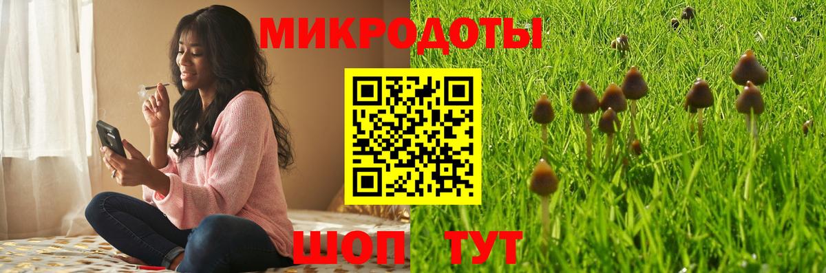 Галлюциногенные грибы Cubensis Чита