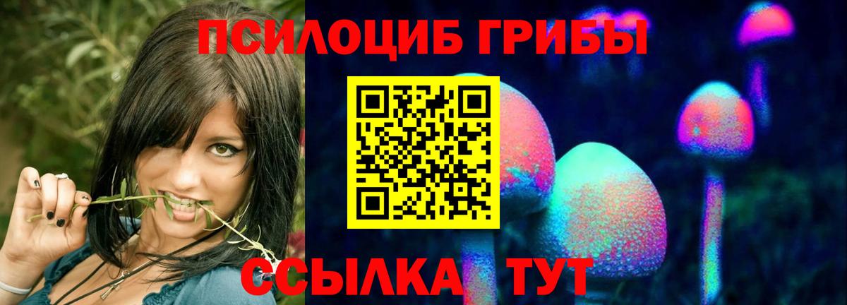 Чита  Галлюциногенные грибы Psilocybe  Псилоцибиновые грибы Magic Shrooms  Вход с VPN 